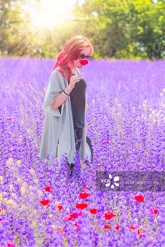 薰衣草田间的自由图片素材