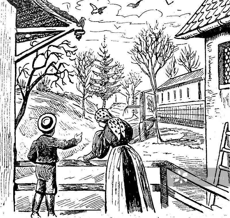 母子站在花园篱笆旁，背影望向天空图片素材