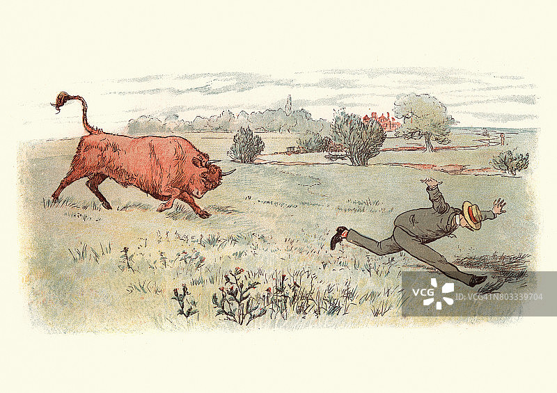 维多利亚时代，男子在田野中被愤怒的公牛追赶图片素材
