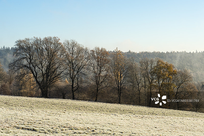 德国黑森州奥登瓦尔德地区的乡村秋景与白霜图片素材