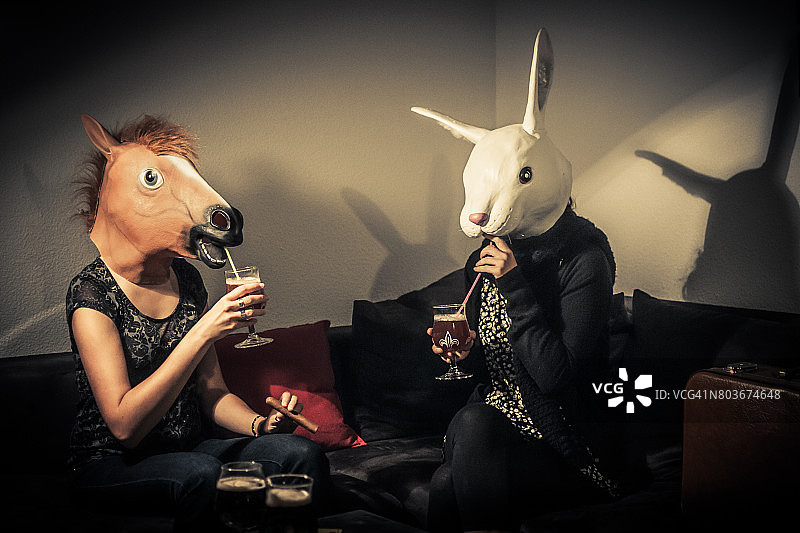 兔子和马一起喝水图片素材