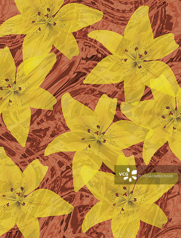 黄色花朵的纹理图片素材