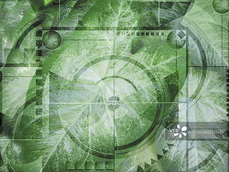 绿色纹理图片素材