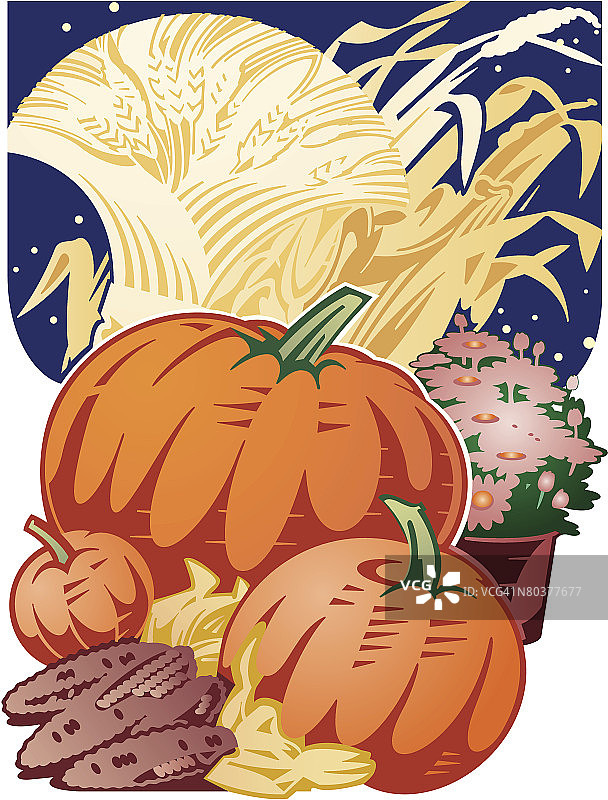 丰收静物，彩色图片素材