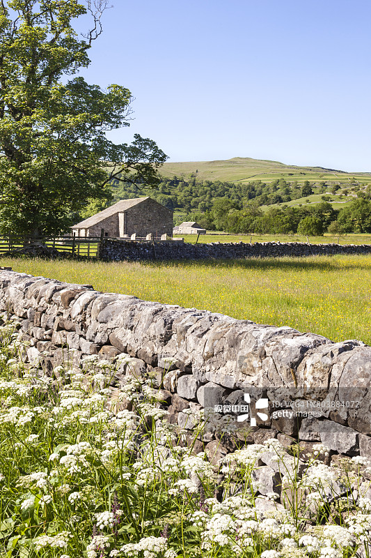 约克郡山谷的夏天-北约克郡巴克登村附近上惠法代尔的典型石制谷仓图片素材