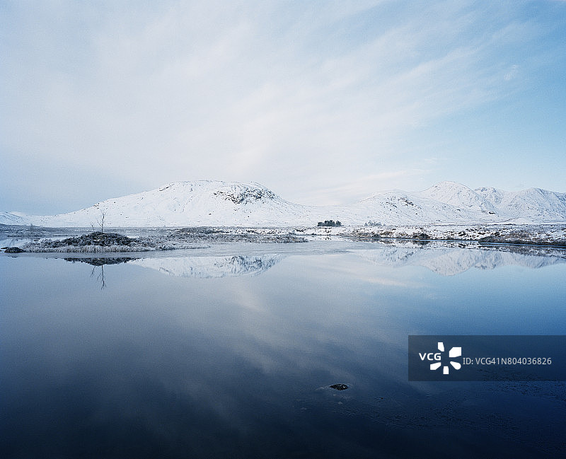 雪景中岛屿上的树图片素材