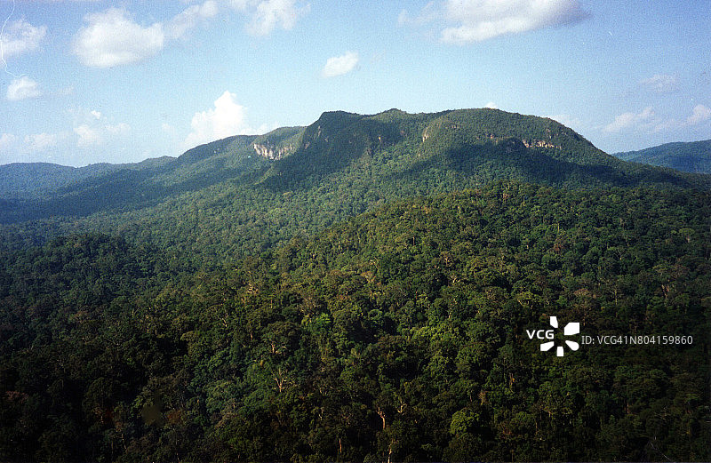 婆罗洲丛林图片素材