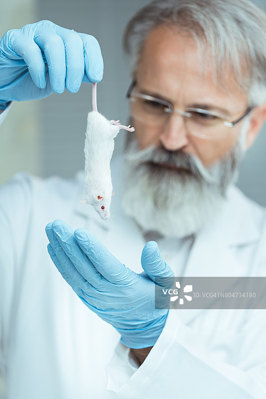 实验室图片素材