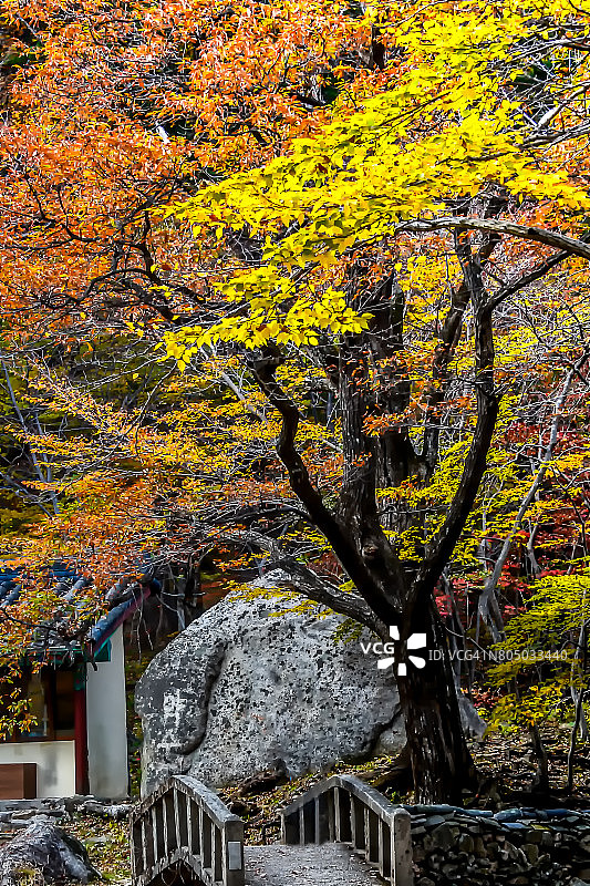 韩国雪岳山国家公园内的景色图片素材