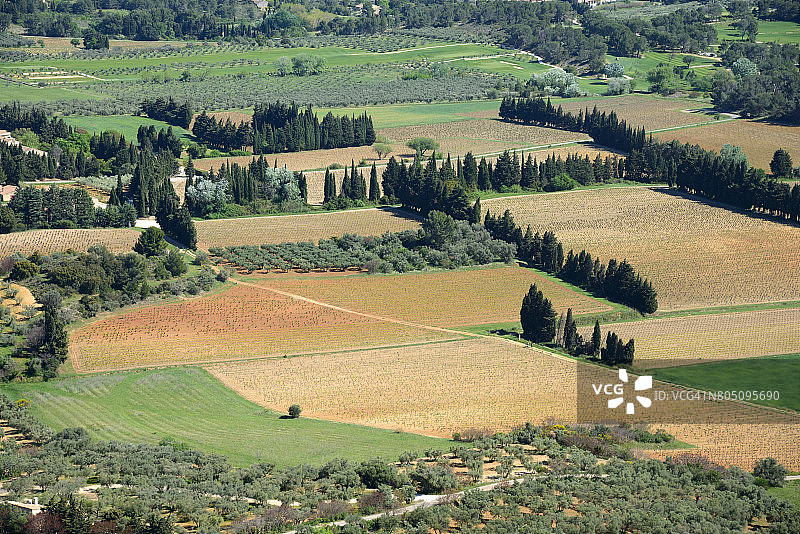 莱博德普罗旺斯田野图案图片素材