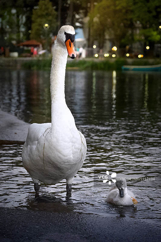 父亲和儿子图片素材