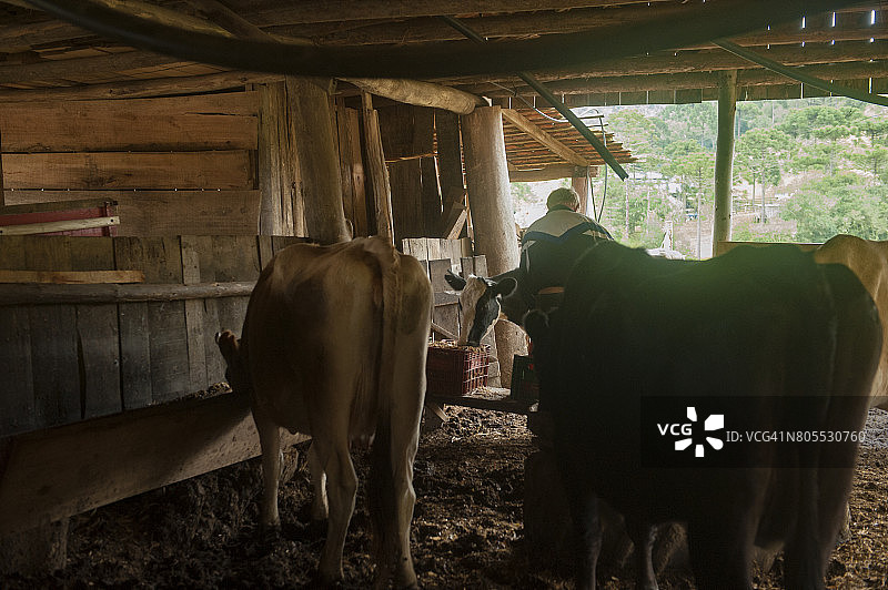 乡村生活 - 农场工人图片素材