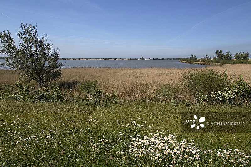 荷兰顶级自然保护区奥斯特瓦德斯普拉森图片素材
