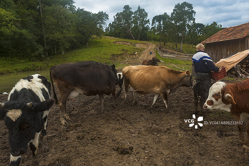 乡村生活 - 农场工人图片素材