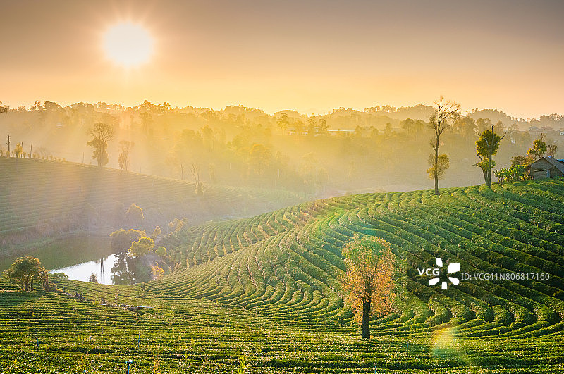 泰国北部的山景，日出和薄雾图片素材