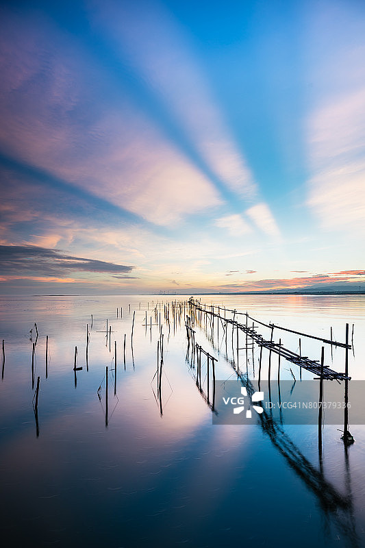 台中县高美湿地的牡蛎架图片素材