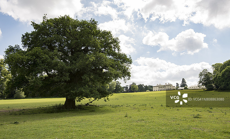 阿默舍姆下公园仰望山上沙德洛斯庄园图片素材
