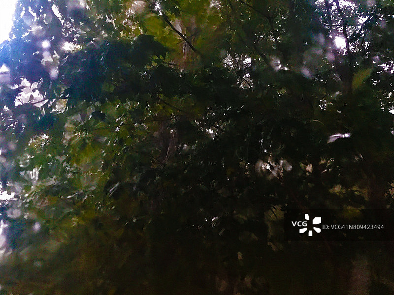 美国康涅狄格州斯托尔斯夏季冰雹图片素材