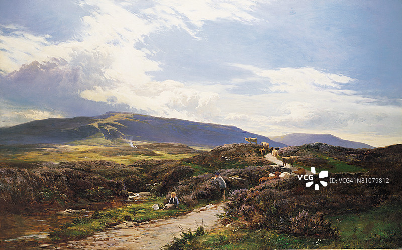 苏格兰珀斯郡的沼泽地图片素材