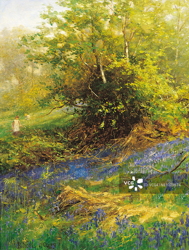 大自然的地毯图片素材