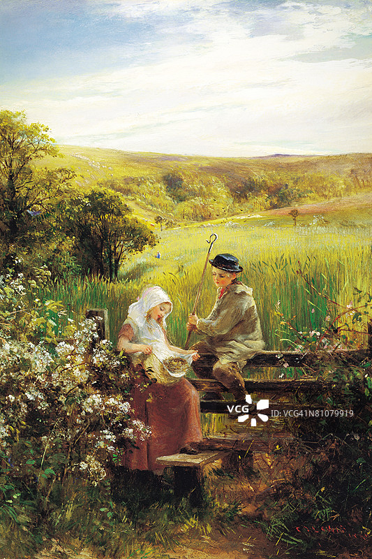 当小麦还是绿色的时候图片素材