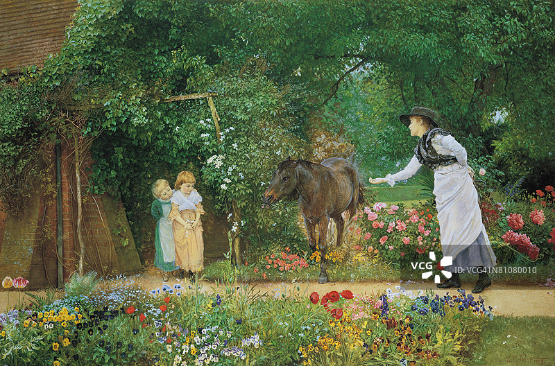 喂小马图片素材