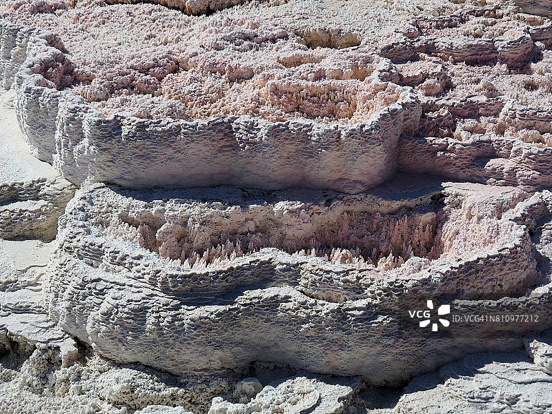黄石国家公园的粉白色石灰华池图片素材