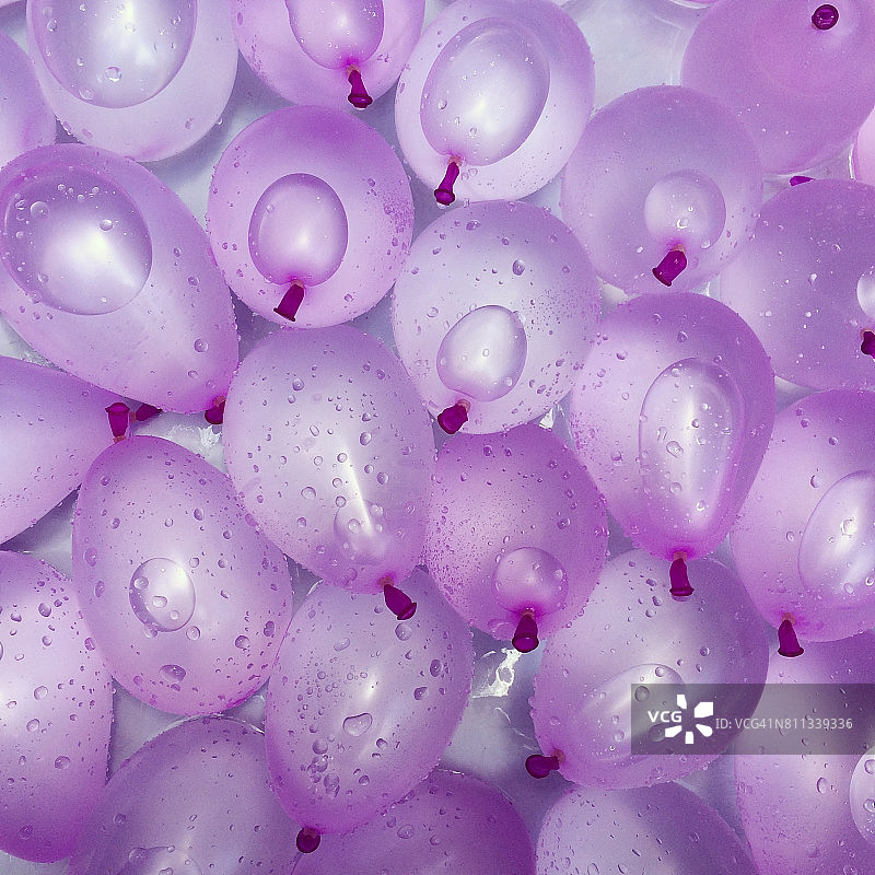 紫色水气球图片素材