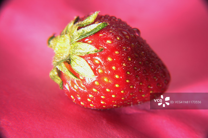 成熟的草莓图片素材