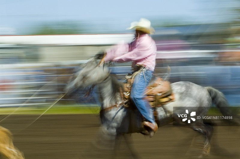 套索小母牛图片素材