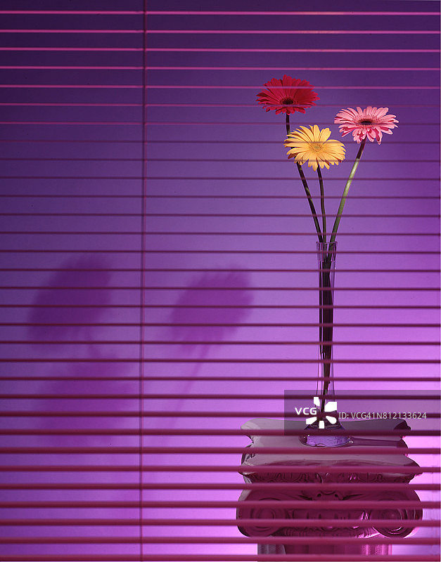 粉蜡笔图片素材