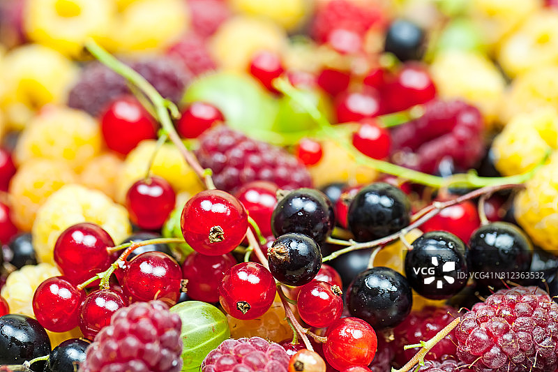混合夏季浆果水果图片素材