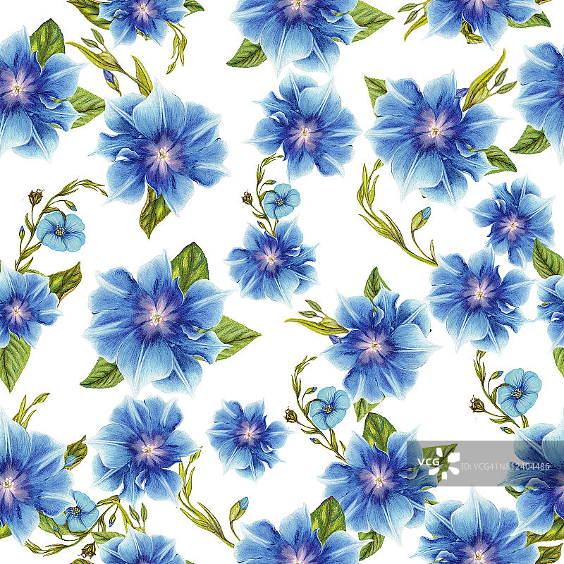 喇叭花图案图片素材