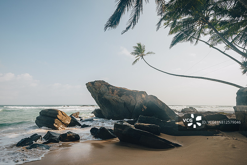 乌纳瓦图纳棕榈树图片素材