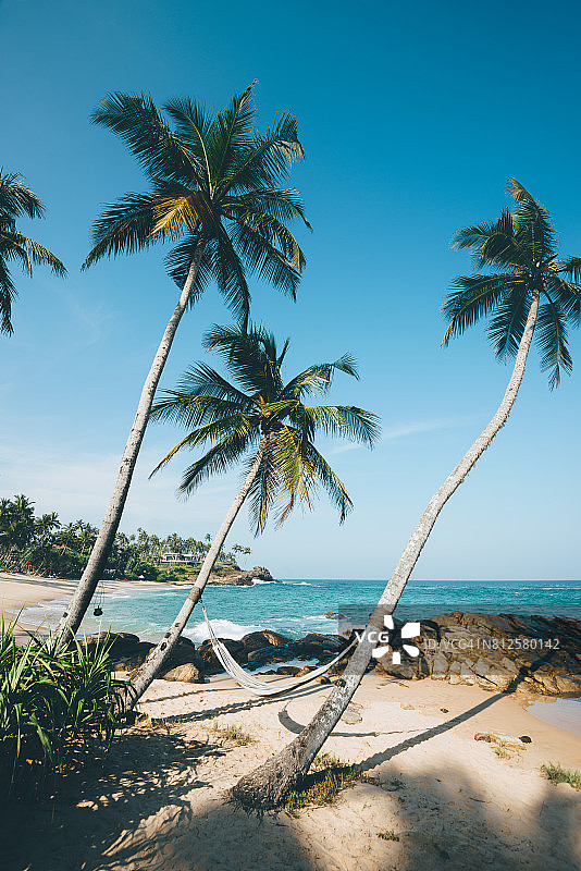 坦加勒吊床图片素材