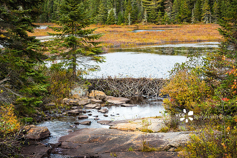 莫里斯国家公园的河狸水坝，位于魁北克省Shawinigan附近图片素材