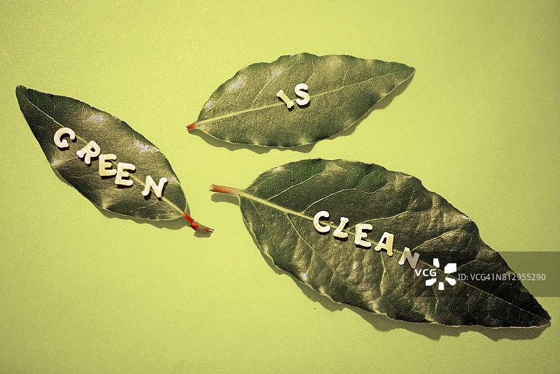 绿色植物：绿色背景上的三片月桂叶特写图片素材