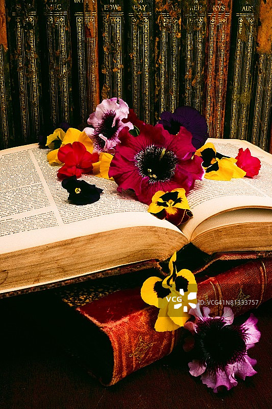 古籍和花卉摆设图片素材