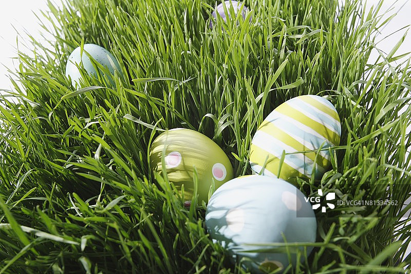 草地上的复活节彩蛋图片素材
