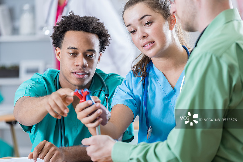 护理专业学生指着人体心脏模型上的某处图片素材