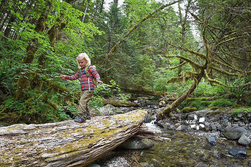 女孩在森林原木上行走图片素材