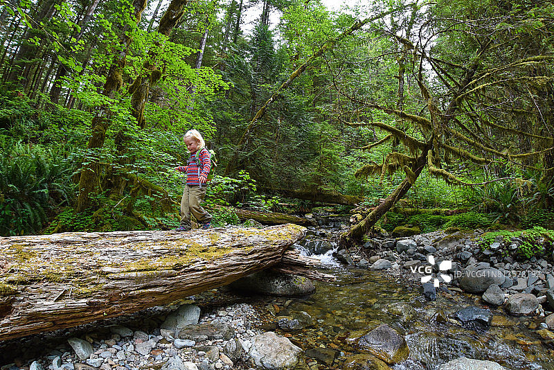 女孩在森林原木上行走图片素材