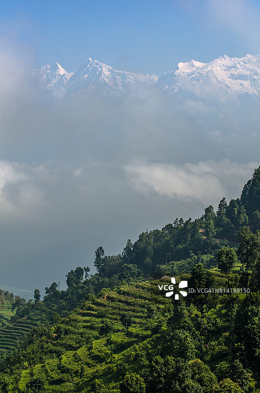 马纳斯卢山脉的稻田，尼泊尔图片素材