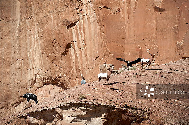 美国亚利桑那州卢普顿的红色岩石面图片素材