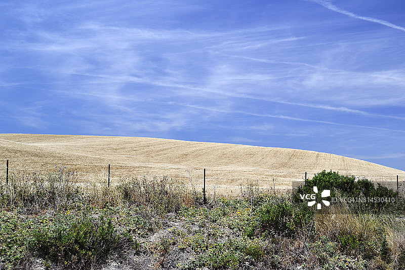 春季乡村风光图片素材