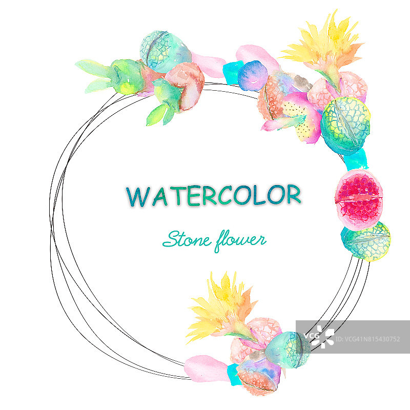 水彩石花仙人掌图片素材