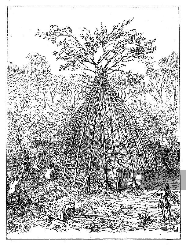 原始小屋图片素材