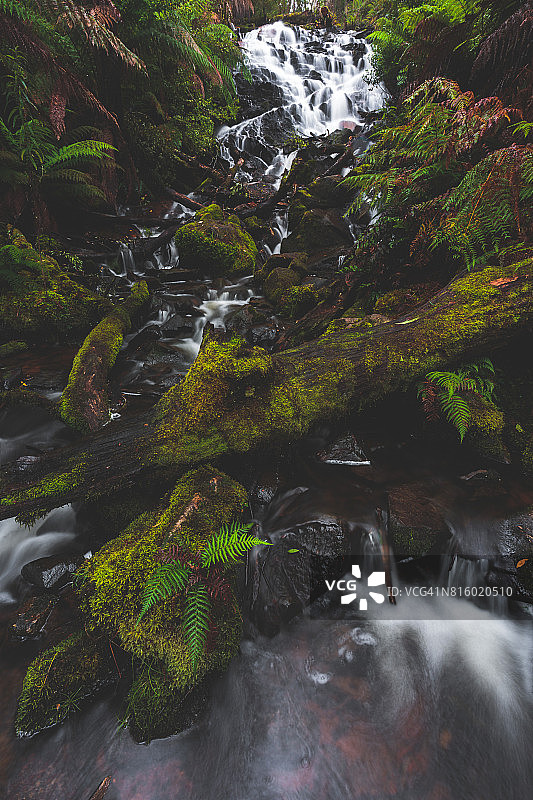 茂盛的瀑布图片素材