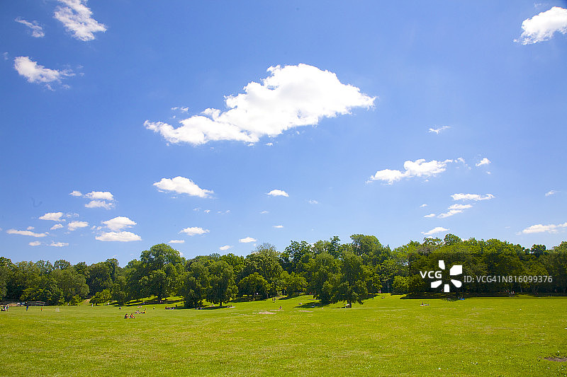 蓬松云朵下的绵羊草地，布鲁克林图片素材