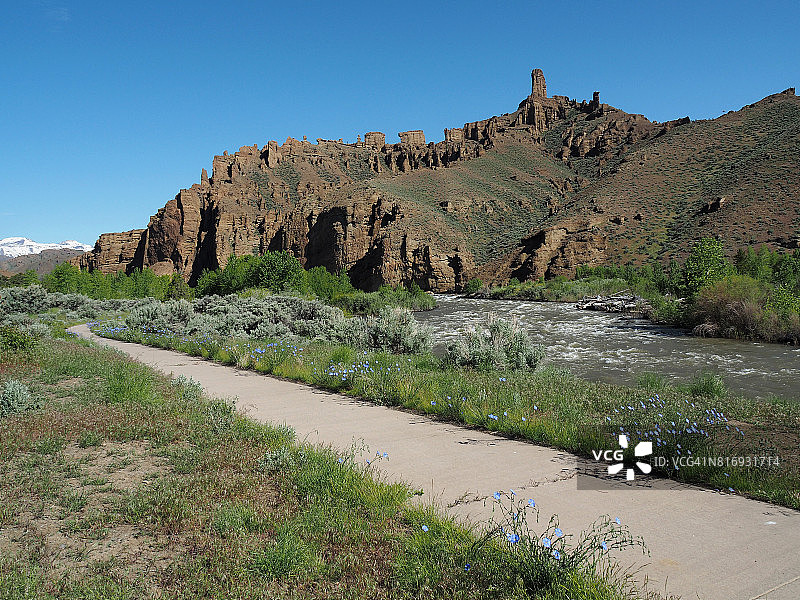 肖松尼河沿岸的蓝色亚麻花图片素材